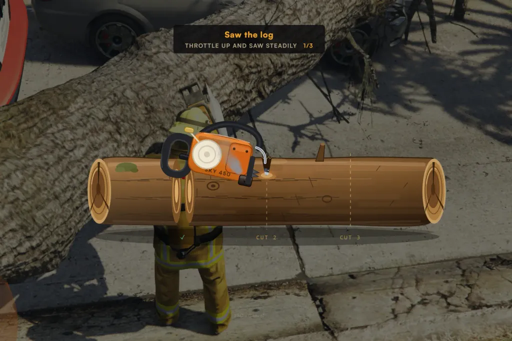 Fallen Tree Removal