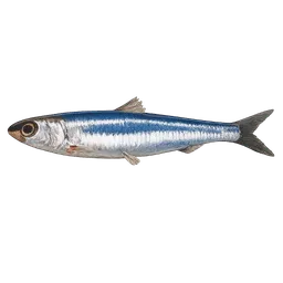 Transparent PNG of the GTA V item a_anchoa_fish
