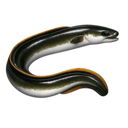 Transparent PNG of the GTA V item aal