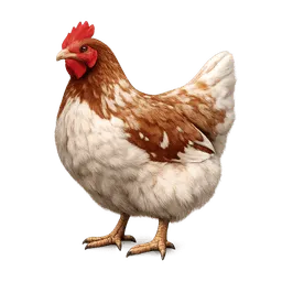 Transparent PNG of the GTA V item alive_chicken_1