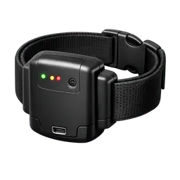 Transparent PNG of the GTA V item anklemonitor