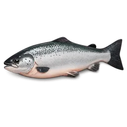 Transparent PNG of the GTA V item atlantic_salmon