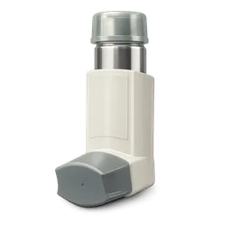 Transparent PNG of the GTA V item atrovent