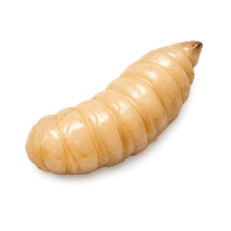 Transparent PNG of the GTA V item bait_maggot