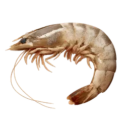 Transparent PNG of the GTA V item bait_shrimp_1