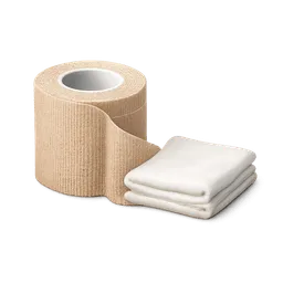 Transparent PNG of the GTA V item bandage_5