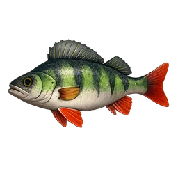 Transparent PNG of the GTA V item barsch