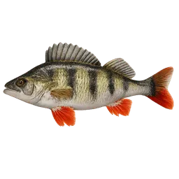Transparent PNG of the GTA V item barsch_2