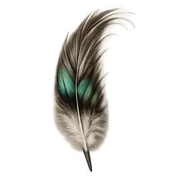 Transparent PNG of the GTA V item bird_plume