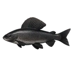 Transparent PNG of the GTA V item black_grayling