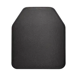Transparent PNG of the GTA V item blank_plate