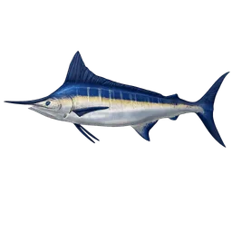 Transparent PNG of the GTA V item blue_marlin_1