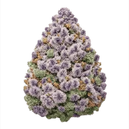 Transparent PNG of the GTA V item blueberry_frost