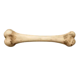 Transparent PNG of the GTA V item bone