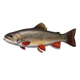 Transparent PNG of the GTA V item brook_trout