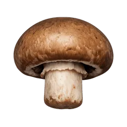 Transparent PNG of the GTA V item brown_mushroom_1