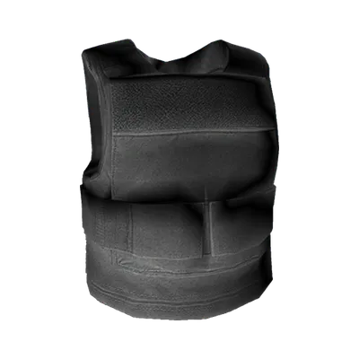 Transparent PNG of the GTA V item bulletproof