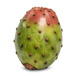 Transparent PNG of the GTA V item cactus_fruit