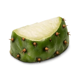 Transparent PNG of the GTA V item cactus_piece