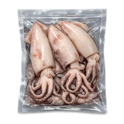 Transparent PNG of the GTA V item calamari_interi