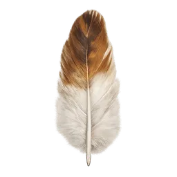 Transparent PNG of the GTA V item chicken_feather