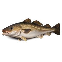 Transparent PNG of the GTA V item cod