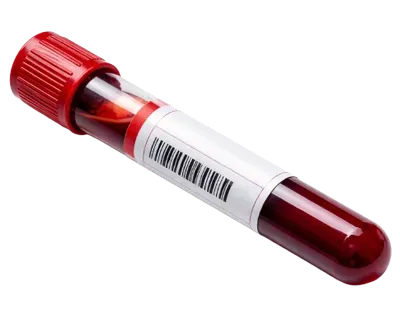 Transparent PNG of the GTA V item collected_blood