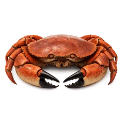 Transparent PNG of the GTA V item crab_1