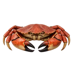 Transparent PNG of the GTA V item crab_2