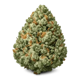 Transparent PNG of the GTA V item create_a_weed_image_weed_plant_realistic