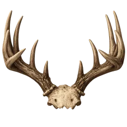 Transparent PNG of the GTA V item deer_horns