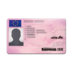 Transparent PNG of the GTA V item driving_licence