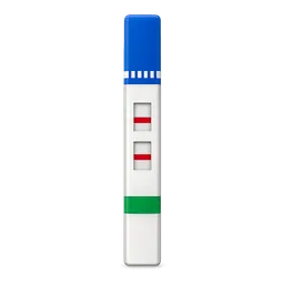 Transparent PNG of the GTA V item drug_test_strip