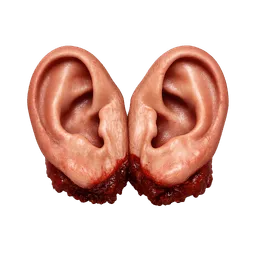 Transparent PNG of the GTA V item ears