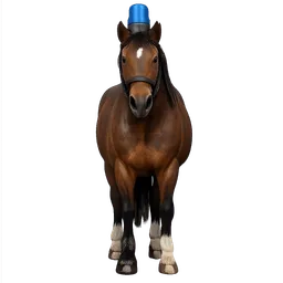 Transparent PNG of the GTA V item ein_pferd_mit_einem_aufsteckblaulicht