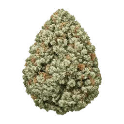 Transparent PNG of the GTA V item eine_marihuana_knospe