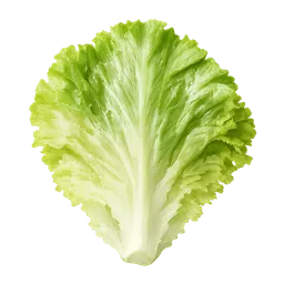 Transparent PNG of the GTA V item eisbergsalat_salatblatt