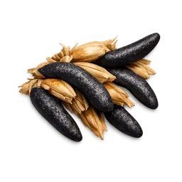 Transparent PNG of the GTA V item ergot_fungus