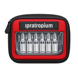Transparent PNG of the GTA V item erstelle_mir_ein_icon_f_r_ipratropium_als_einzige_ampullarium_denn_rettungsdinst