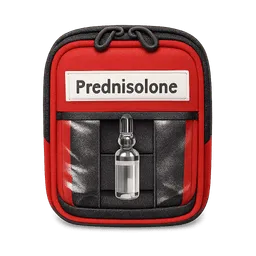 Transparent PNG of the GTA V item erstelle_mir_ein_icon_f_r_prednisolone_als_einzige_ampullarium_denn_rettungsdins