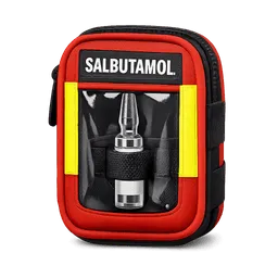 Transparent PNG of the GTA V item erstelle_mir_ein_icon_f_r_salbutamol_als_einzige_ampullarium_denn_rettungsdinst