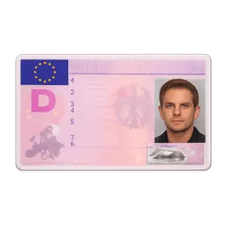 Transparent PNG of the GTA V item f_hrerschein