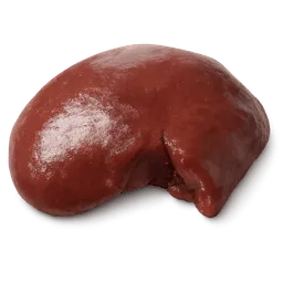 Transparent PNG of the GTA V item fegato_di_vitello