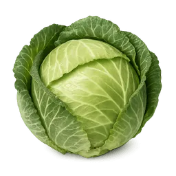 Transparent PNG of the GTA V item fejesk_poszta