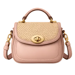 Transparent PNG of the GTA V item female_bag