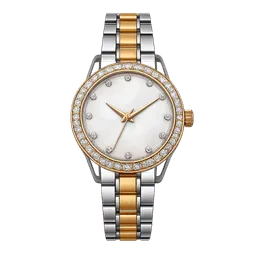 Transparent PNG of the GTA V item female_watch