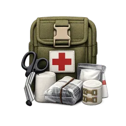Transparent PNG of the GTA V item field_dressing_2