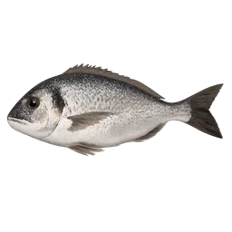 Transparent PNG of the GTA V item fisch_dorade