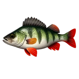 Transparent PNG of the GTA V item fish_barsch