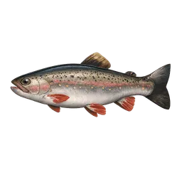 Transparent PNG of the GTA V item fish_forelle